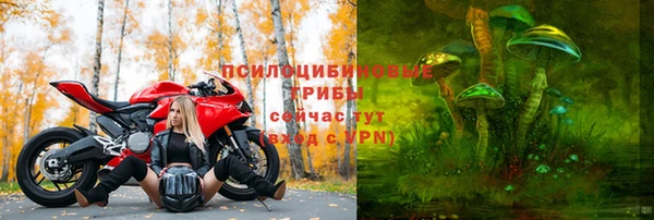 сатива Алзамай