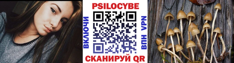 Псилоцибиновые грибы мицелий  Одинцово 